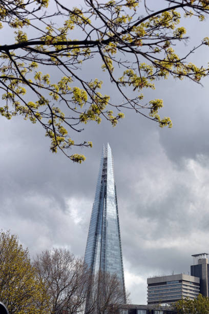 istock The Shard and Norway Maple flower 2159587418