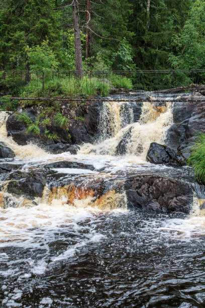 istock Descending water from the mountains in the river, fast cold water 2159591135