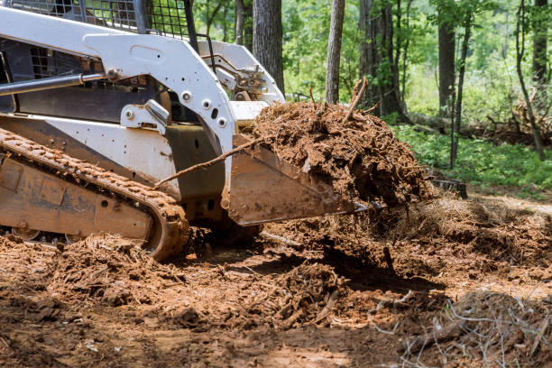 istock At forest, tractor is using a bucket to level ground during earthworks 2159596008