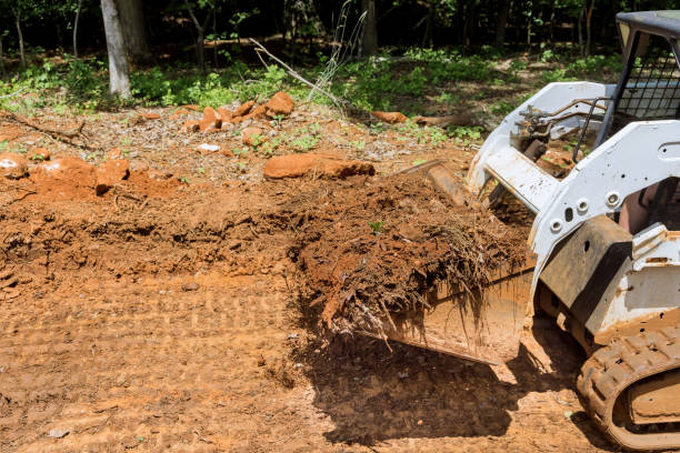 Free picture: land, leveling, bulldozer