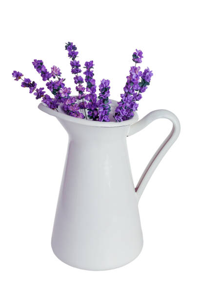 istock White metal enameled decanter vase for drinks, home decor isolated on a white background 2159596197