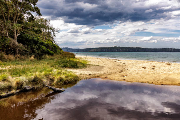 istock Lancasters Beach, Southwest National Park, Tasmania 2159597505