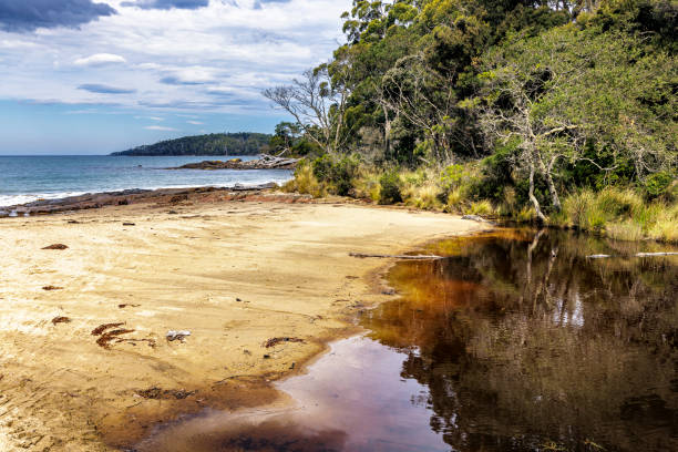 istock Lancasters Beach, Southwest National Park, Tasmania 2159597539