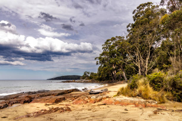 istock Lancasters Beach, Southwest National Park, Tasmania 2159597556