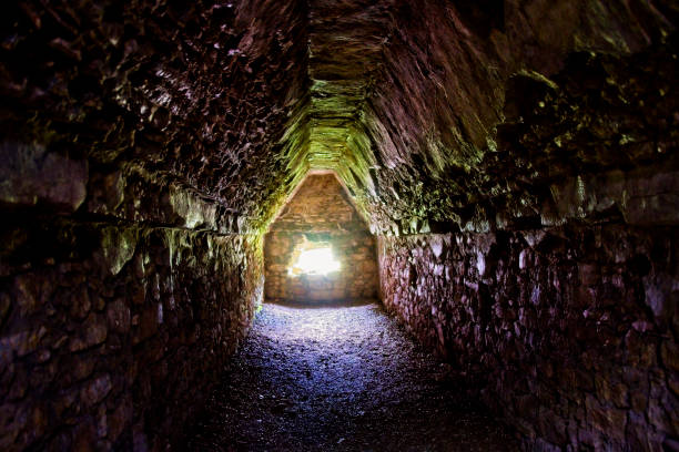 istock Archeological ruins of Palenque, Mexico 2159597758