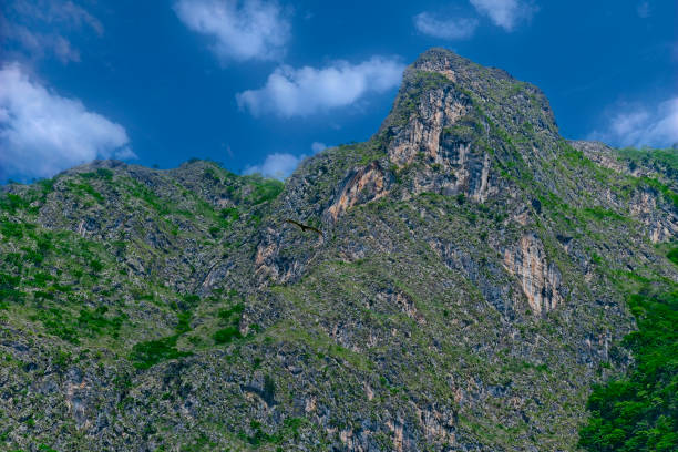 istock A beautiful view from Sumidero Canyon, Chiapas 2159598121