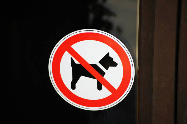 istock A no dogs allowed sign in Sweden 2159599395