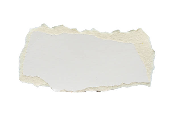 istock White ripped paper torn edges strips isolated on white background 2159601128
