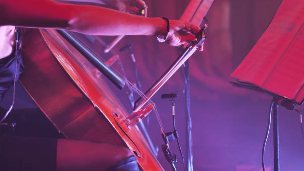 istock Close-up of cellos. A woman's hand with a bow is guiding the strings 2159601591