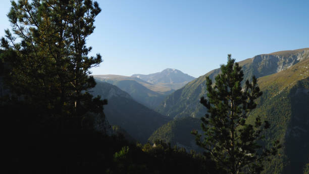 istock Nice view of a mountain gorge. Pines in the foreground 2159601678