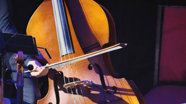 istock The contrabass stands vertically with its deep brown wooden body 2159602958