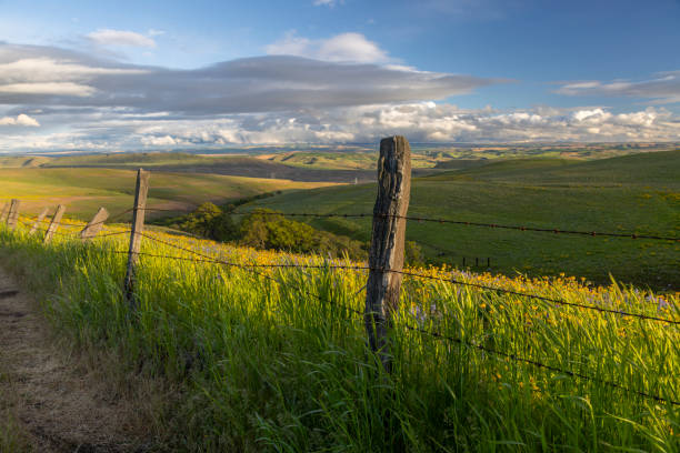 A scenic view from the Columbia Hills at sunset in the Columbia River Gorge, Washington.