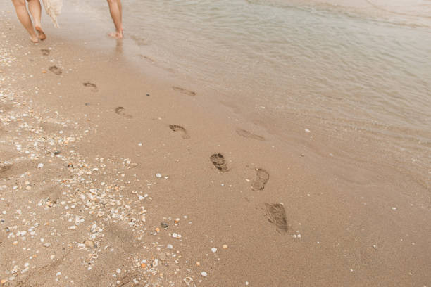 istock Footprints in the Sand in Palm Beach, Florida 2159604484
