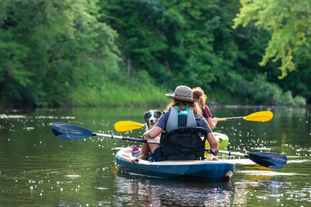 istock Two Girls Kayaking With Dog On River in Summer 2159608680