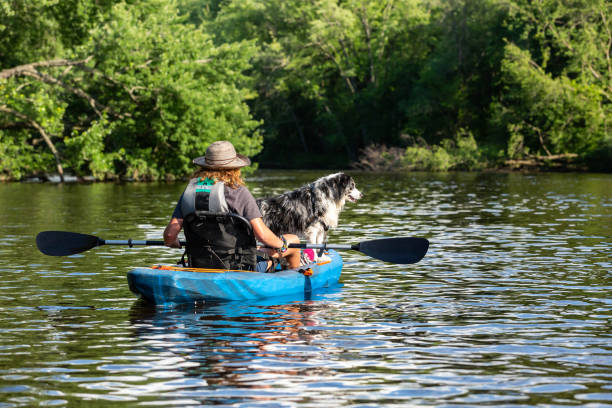 istock Girl & Her Dog Kayaking on River in Summer 2159610025