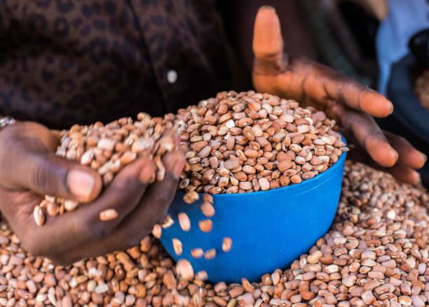 istock A person measures Beans with a bowl 2159611299
