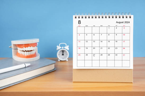 istock August monthly desk calendar for 2024 year and model dentures on the table. 2159614598