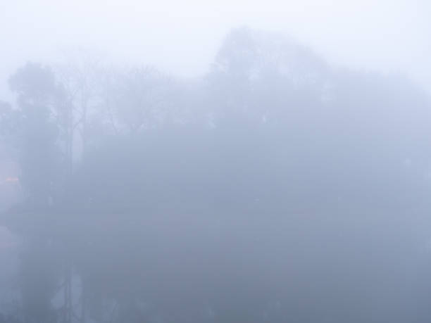 istock Abstract of Trees and Shadow on The Island and Lagoon 2159617582