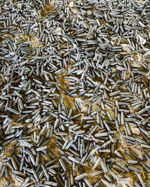 istock Background from empty cartridges for rifles and carbines. brass shells scattered on the surface. 2159621009