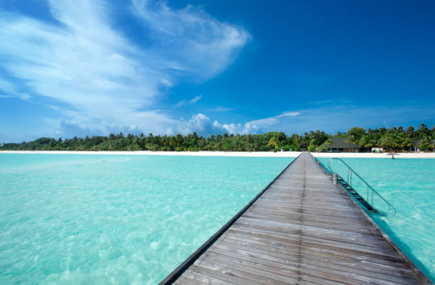 istock beautiful beach and tropical sea 2159622758