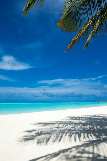 Tropical beach on a deserted tropical island in Fiji.