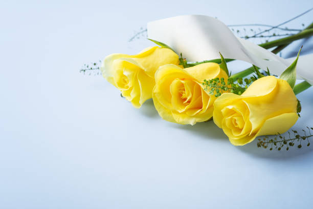 Bunch of colored roses