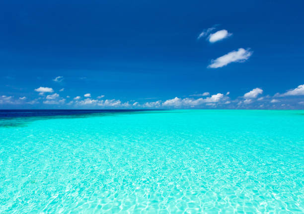 istock beach and tropical sea . nature background 2159627144