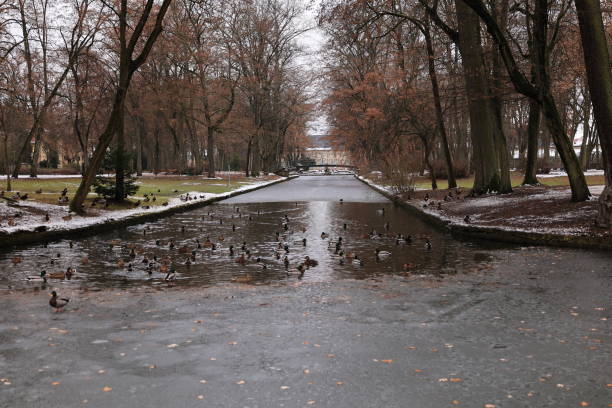 Dezember 07, 2024, Bayreuth: View of the wintry castle park in the centre of Bayreuth in Bavaria