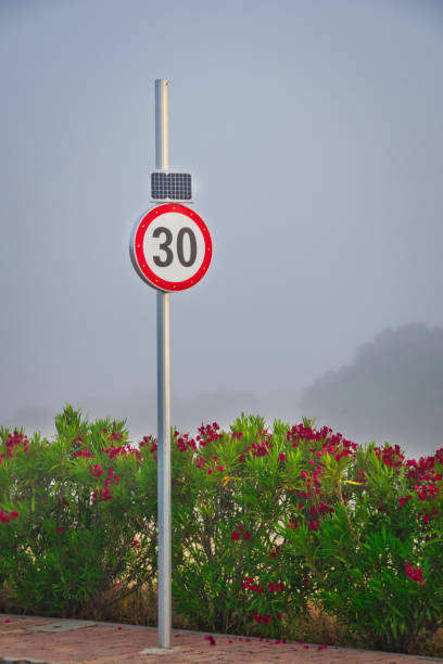 Luminous traffic sign of speed limit thirty kilometers per hour with pink oleander flower bed.