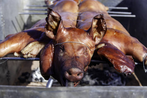 A big whole roasted pig is ready to be served at the buffet