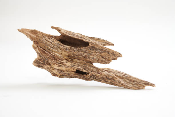 istock Solid piece of agarwood (Oud) isolated on white background 2159631121