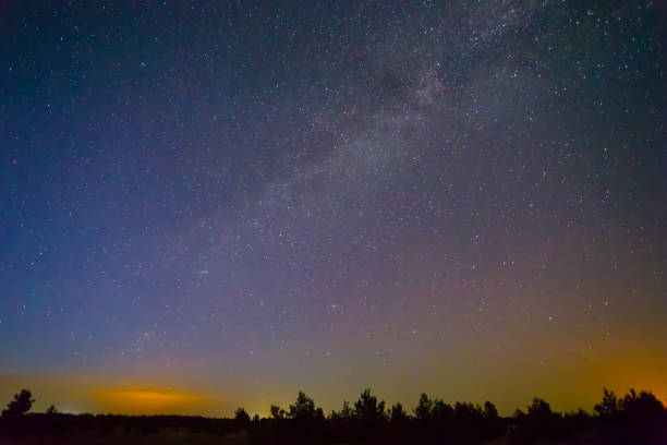 istock night starry sky with milky way above forest silhouette 2159634711