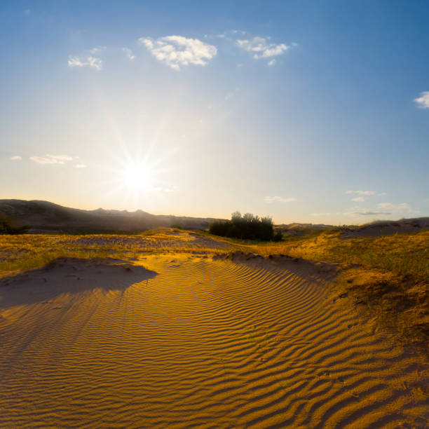 wide sandy desert at the sunset