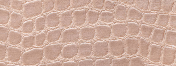 istock Texture velvet beige background from soft upholstery textile material, macro. Abstract velour brown fabric 2159640267