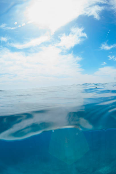 istock Underwater sea background    Overwater underwater split shot  beautiful lagoon 2159641124