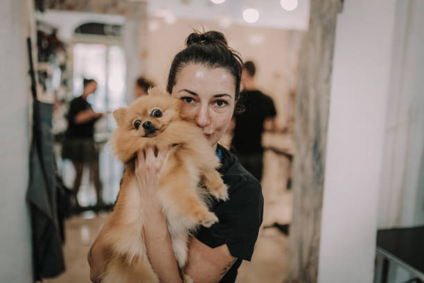 Woman Kissing and Hugging Pomeranian Dog in the Grooming Salon Young women grooming a cute small Pomeranian dog in the grooming salon pomeranian dog taking a bath stock pictures, royalty-free photos & images