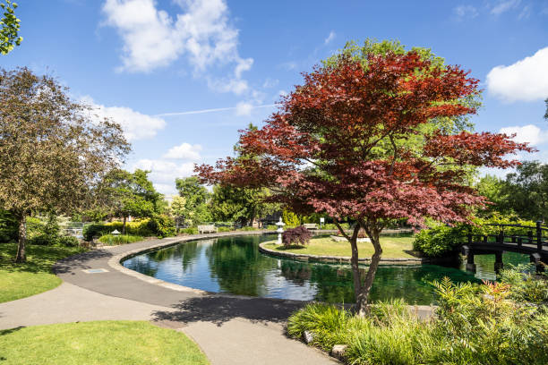 Early morning sunlight local summer park Guildford Surrey England Europe