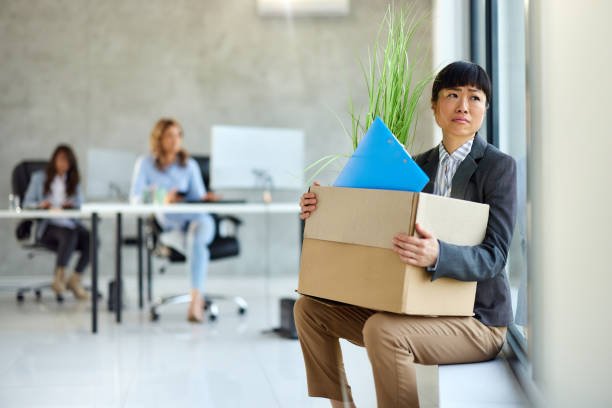 What should I do now without a job?