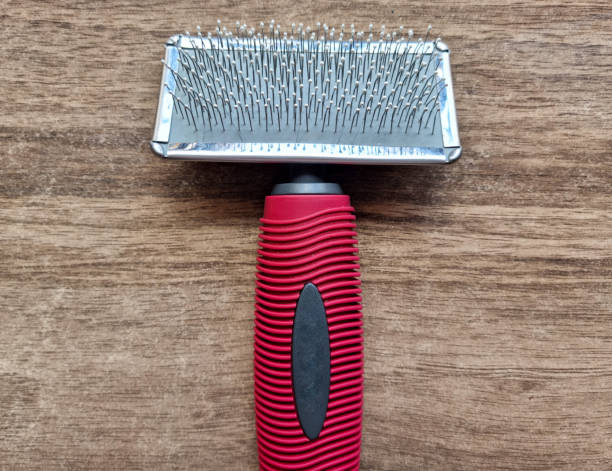 woman combs dog's hair