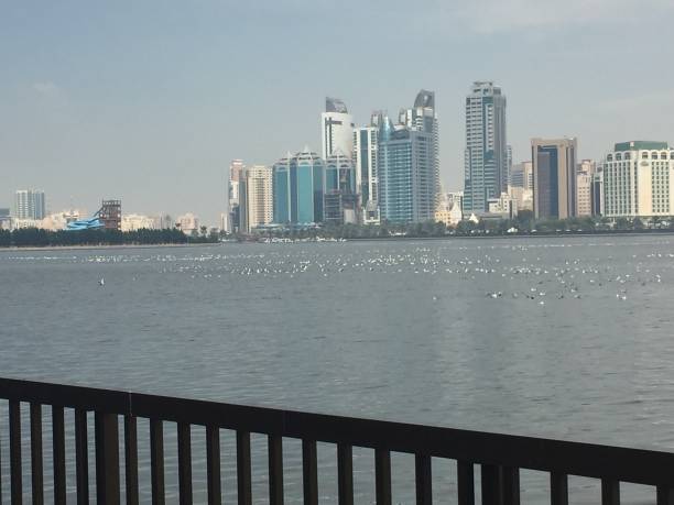 istock Birds on water with skyscrapers with Cornish view 2159654540