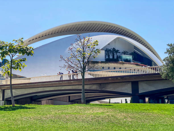 Valencia, Spain - June 18, 2024: Tourist standing on bridge in front of the Queen Sofia Palace of Arts in the city of the Arts and the Sciences. This is a cultural complex design by the Spanish architect Santiago Calatrava that is visited by lots of tourists every year