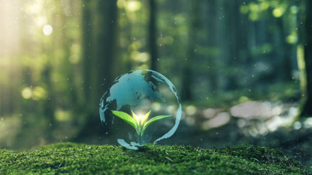 istock Digital Globe Concept Earth on Young plant springing up out of the moss soil 2159656719