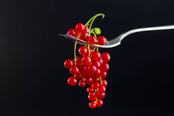 twigs of ripe red currants, isolated on a black background .