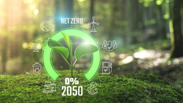 istock Net Zero Emissions 2050 Countdown Animation Young plant springing up out of the moss soil 2159656832