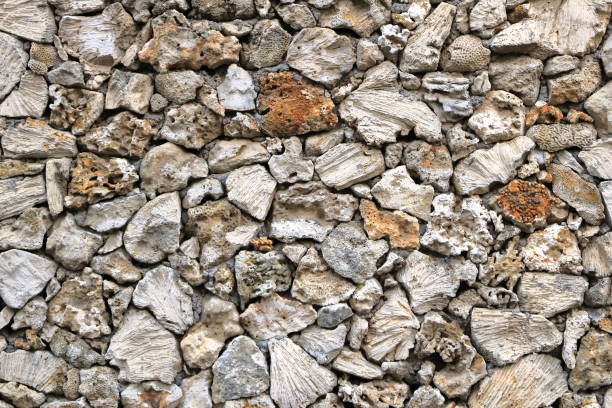 coral stone pattern wall in Bali in Indonesia
