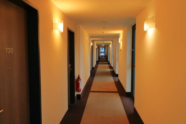 an empty long corridor with carpet floor design and lamps lights illuminated vertical interior view of building architecture