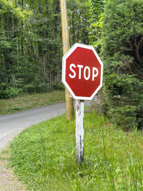 istock Stop sign on road in the countryside. 2159658044