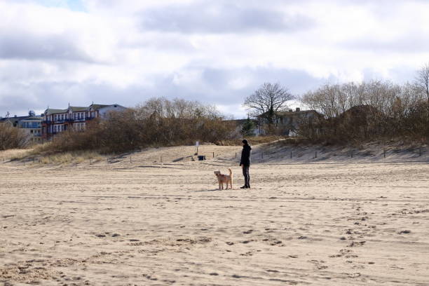 Ahlbeck, Usedom, Germany - March 16 2024: people with their dogs enjoy the beach at baltic sea