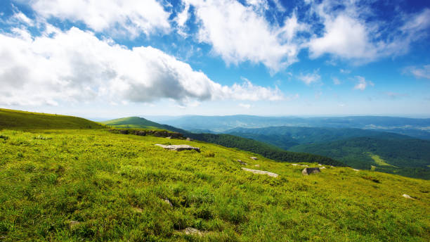 istock green meadows of carpathian mountain landscape 2159663918