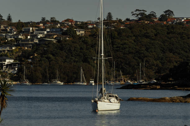 Yacht on the water at Manly wharf with nature view